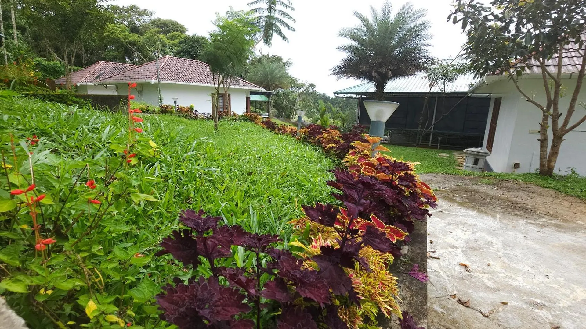 Green Ample Resorts Vaduvanchal 0*,  Indien